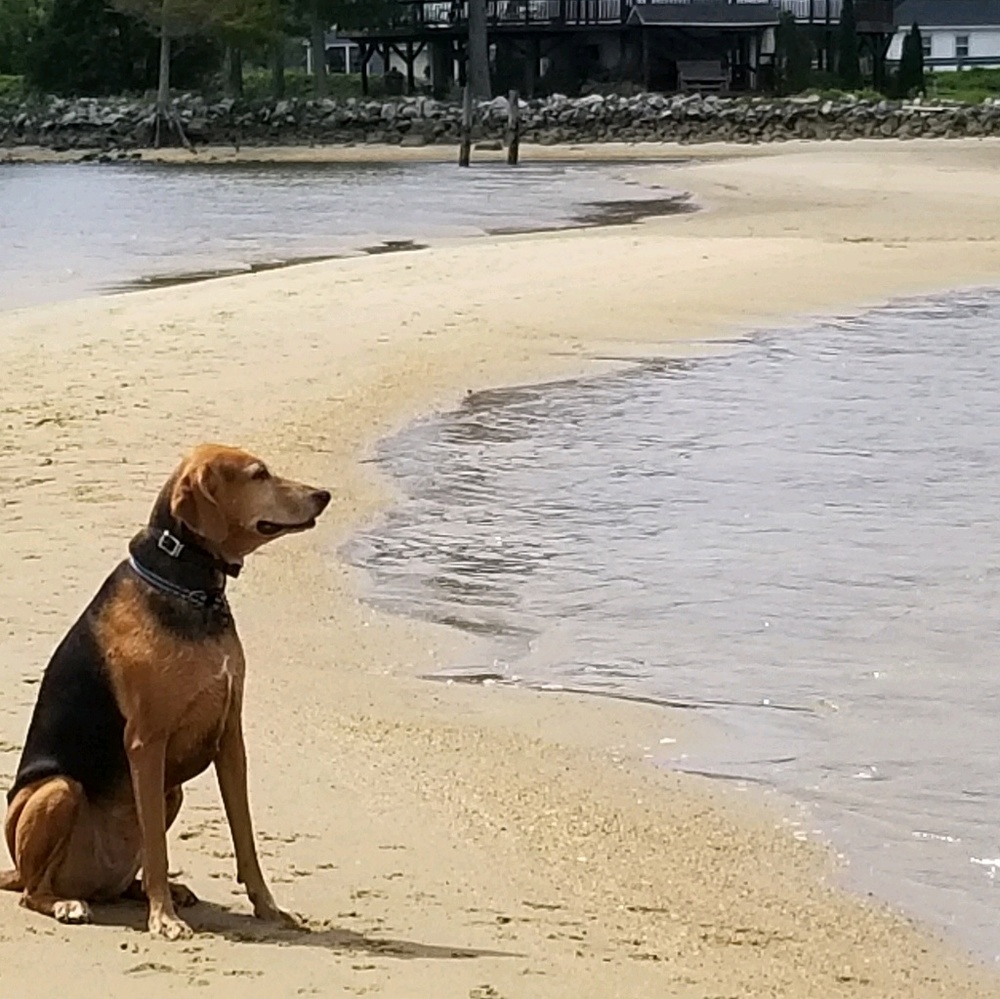 Meet your Posher, Alison